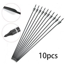 10pcs Fiberglass Arrows