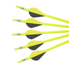 12Pcs Archery Arrows Mix